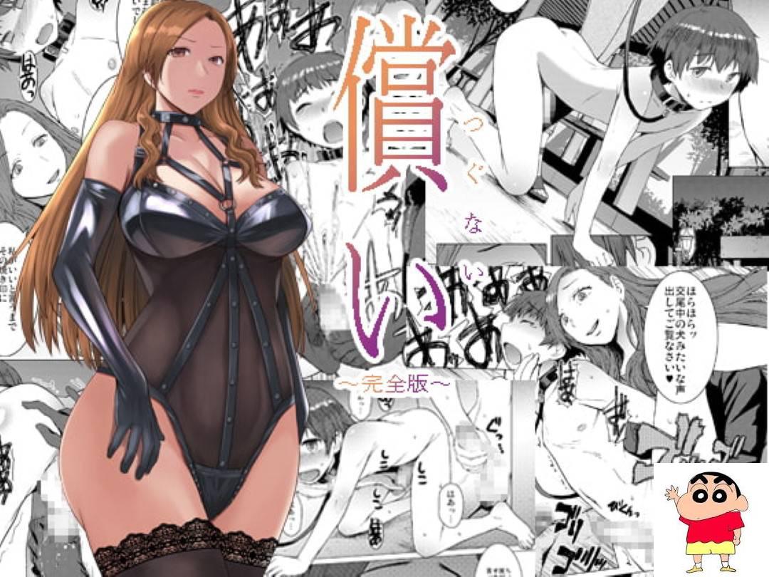 D黒龙眼：平凡、贞淑、扫除好きのできた女