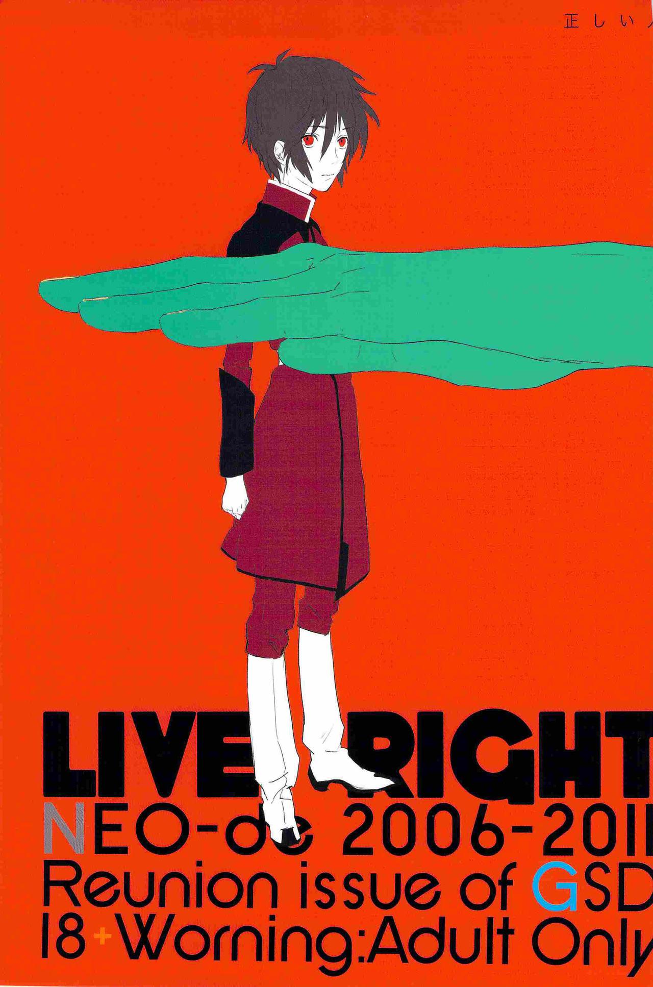 NEOde 夏坂 正しい人 机动戦士ガンダムSEED DESTINY 中国翻訳