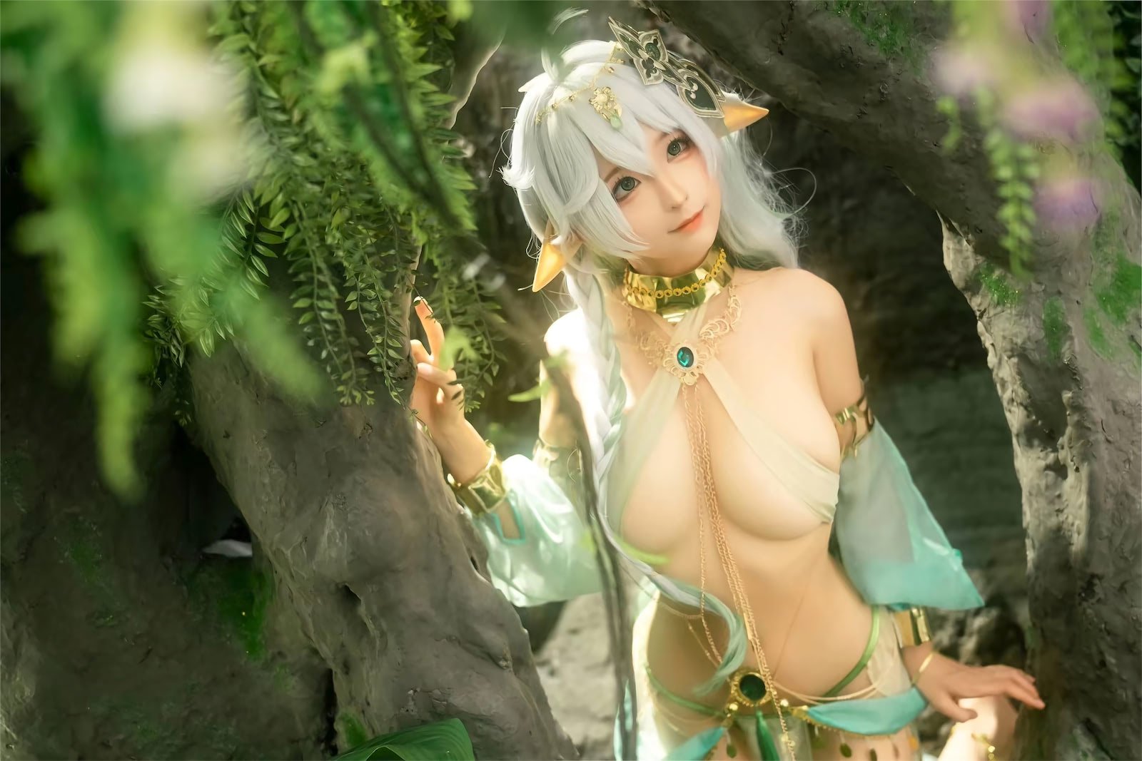 蠢沫沫 大慈树王