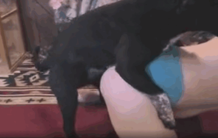 狗操女人紧致的屁股并射在她的屁眼上