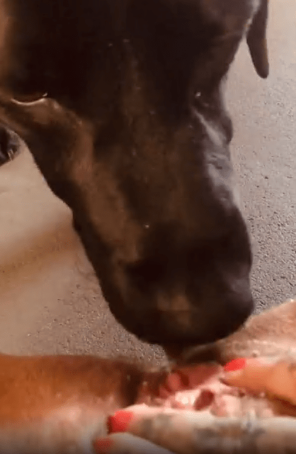 兴奋的女人分享她与毛茸茸动物的亲密经历