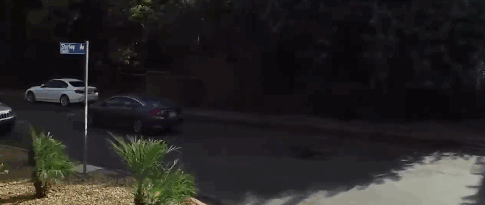 我就是男娘的嘴便器