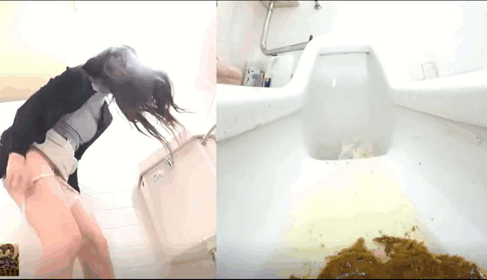 像鸽子一样在马桶里拉屎