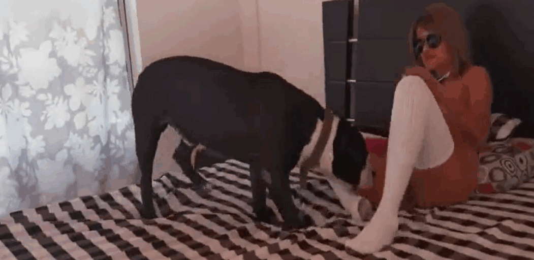 晒黑的黑发被美女扭曲的杂种狗操