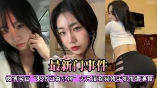 悲伤口袋小狗大尺度视频修手机惨遺泄露