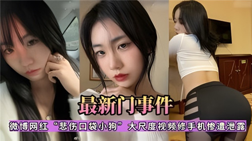 网传微博网红悲伤口袋小狗大尺度视频修手机惨遭泄露