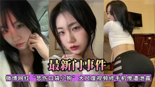 最新门事件微博网红悲伤口袋小狗大尺度视频修手机惨遭泄露